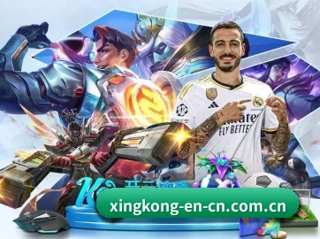 技术升级