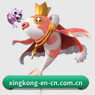 国际化进程 | xingkongsports
